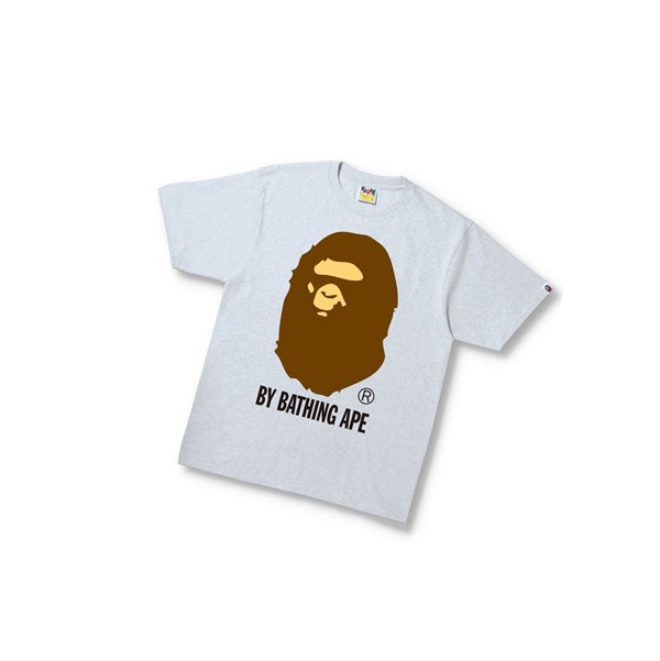 Camiseta A BATHING APE Bape By Bathing Ape Tee Corta Sleeve Hombre Gris | NMJX95081